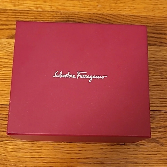 Salvatore Ferragamo Watch - Picture 9 of 9